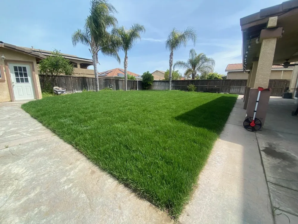 Affordable residential landscaping in Madera, CA by Quality Lawn Care
