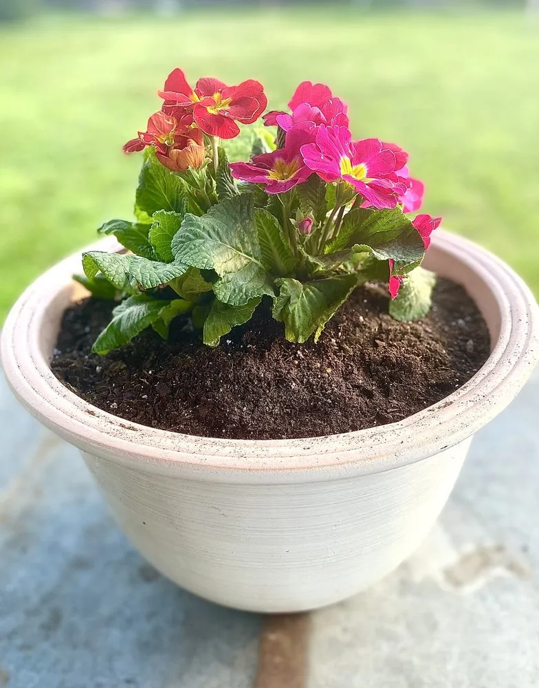 Top-rated landscape design experts serving Madera, CA - Quality Lawn Care