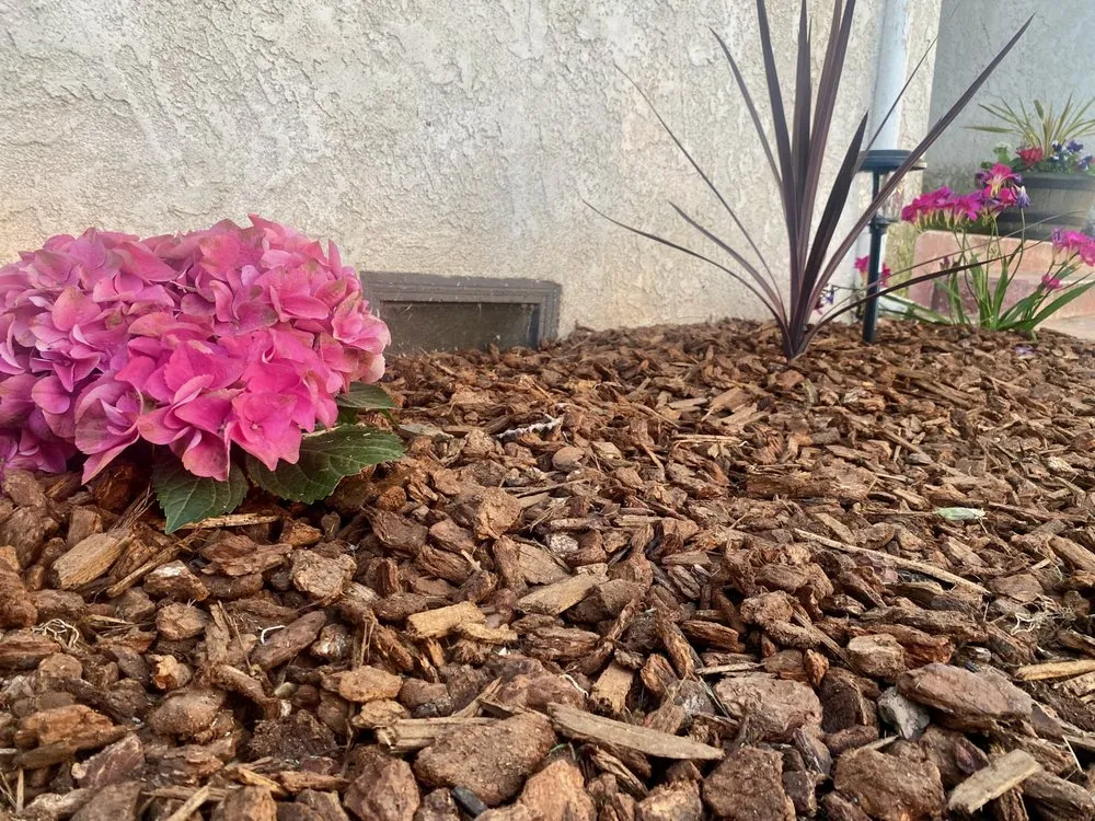 Expert outdoor landscaping experts serving Madera, CA - Quality Lawn Care