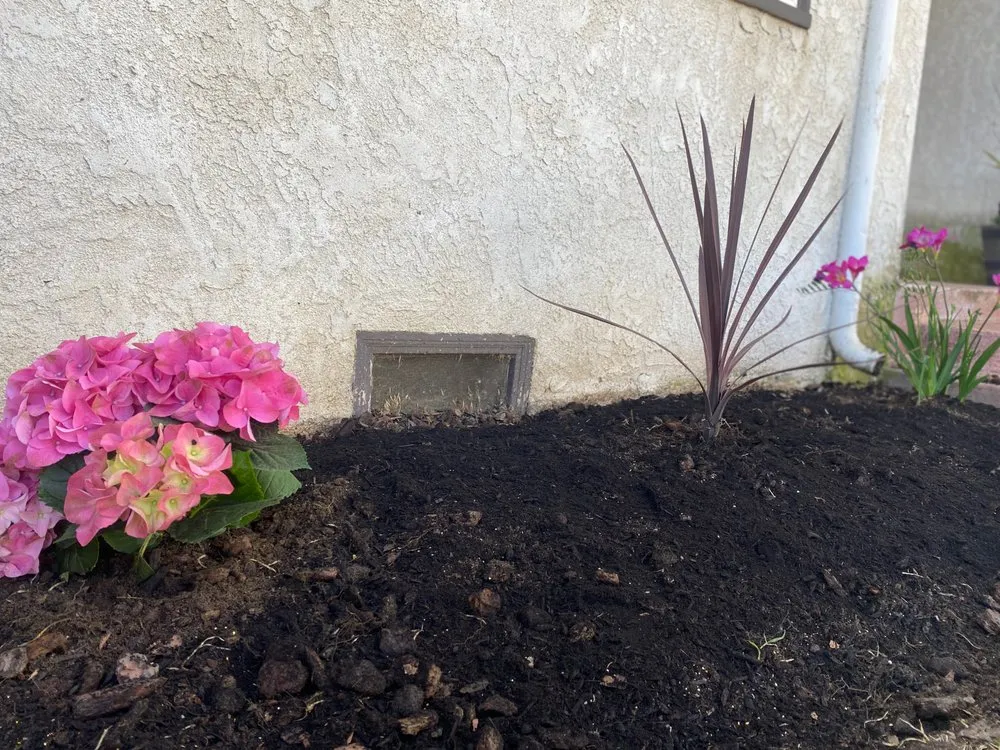 Affordable landscaping services experts serving Madera, CA - Quality Lawn Care