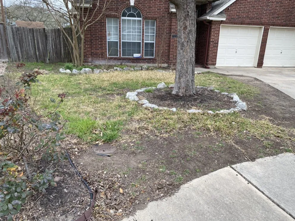 Professional landscaping services experts serving San Antonio, TX - Quality Lawn Care