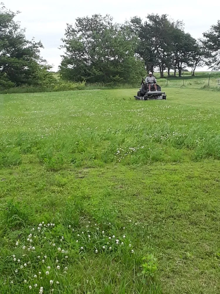 Affordable landscaping services in Holden, MO by Quality Lawn Care Service