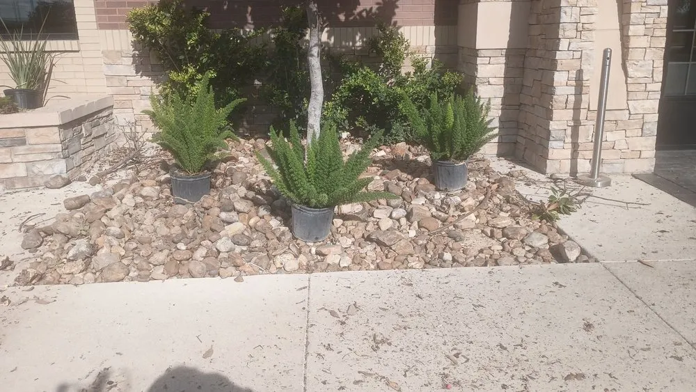 Top-rated lawn mowing service in San Antonio, TX - Quality Lawn Care Services