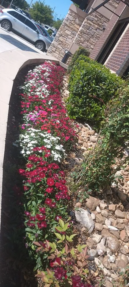 Expert landscape installation in San Antonio, TX by Quality Lawn Care Services