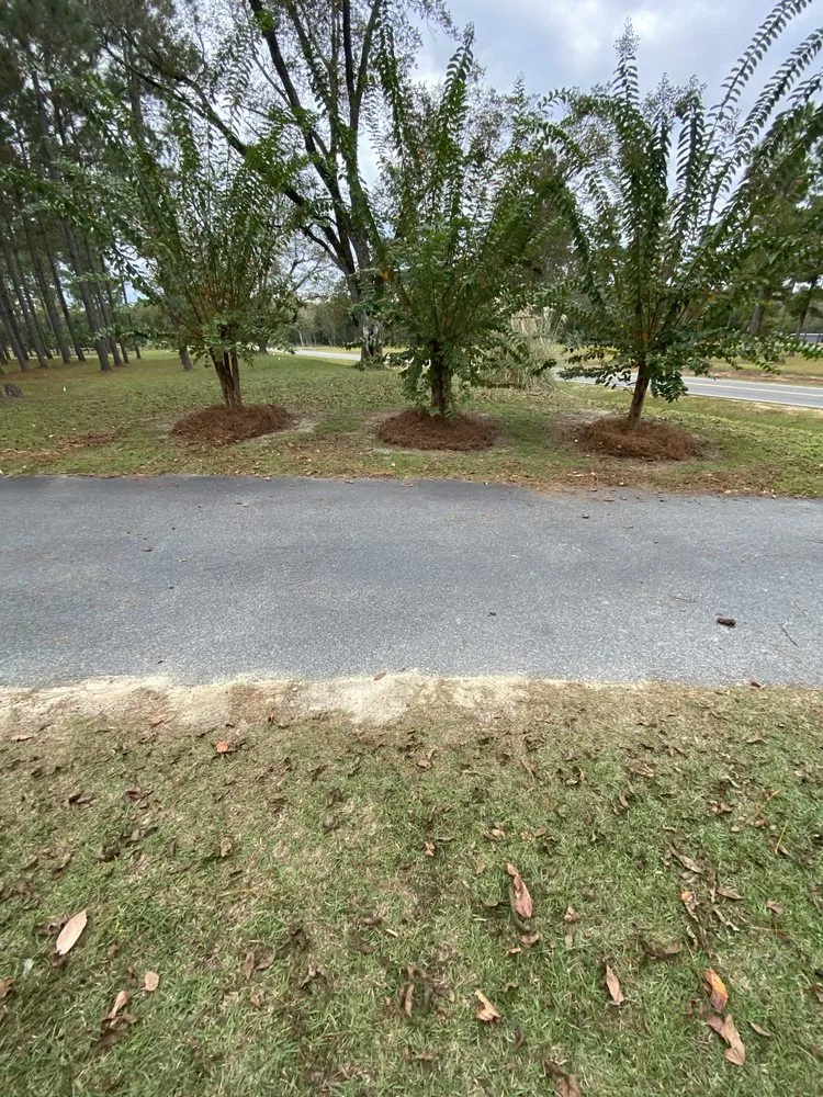 Custom lawn mowing service experts serving Tifton, GA - Quality Lawn Care Services