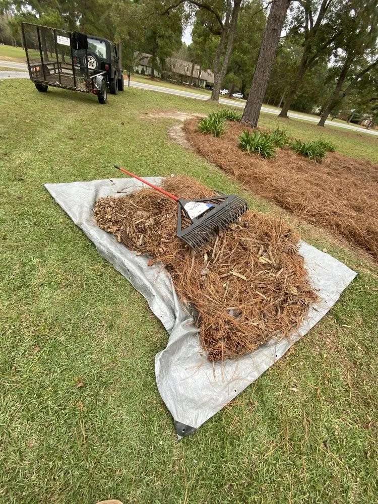 Affordable residential landscaping in Tifton, GA - Quality Lawn Care Services