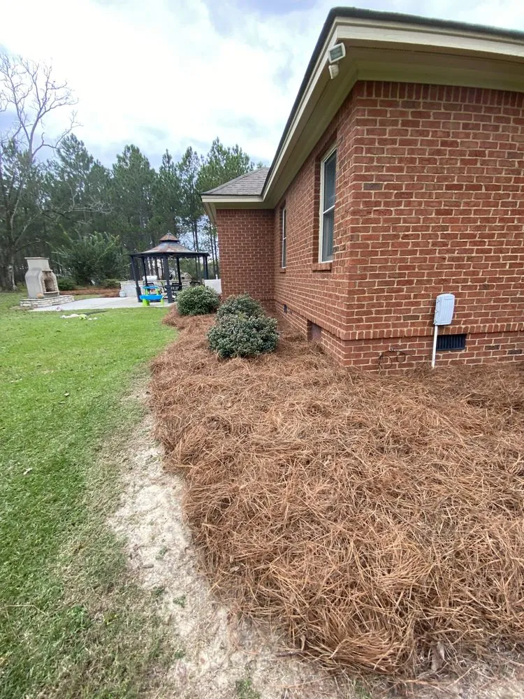 Local landscape design in Tifton, GA by Quality Lawn Care Services