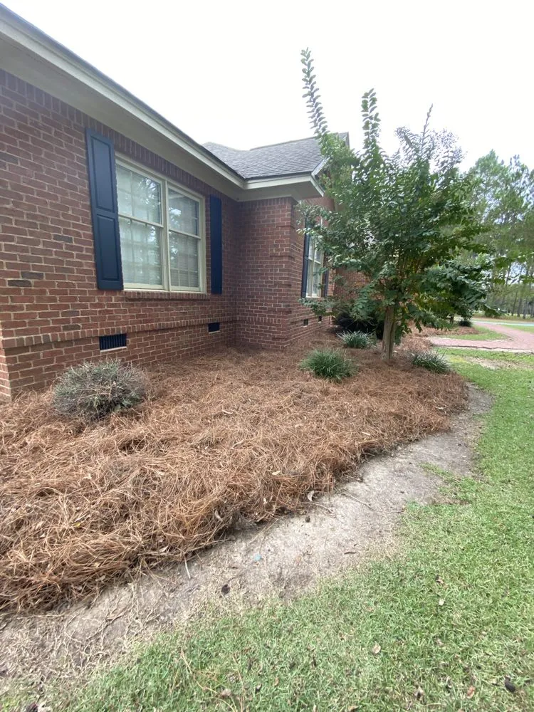 Reliable yard cleanup service in Tifton, GA - Quality Lawn Care Services
