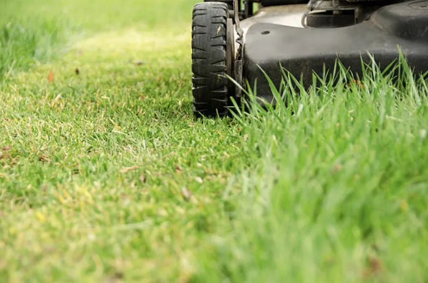 Reliable lawn mowing service in Wilson, NC - Quality Lawn Care Services