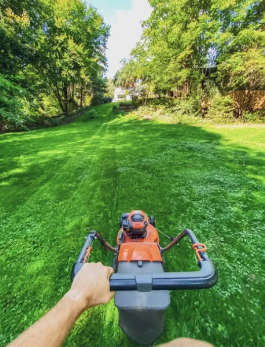 Trusted outdoor landscaping in Wilson, NC by Quality Lawn Care Services