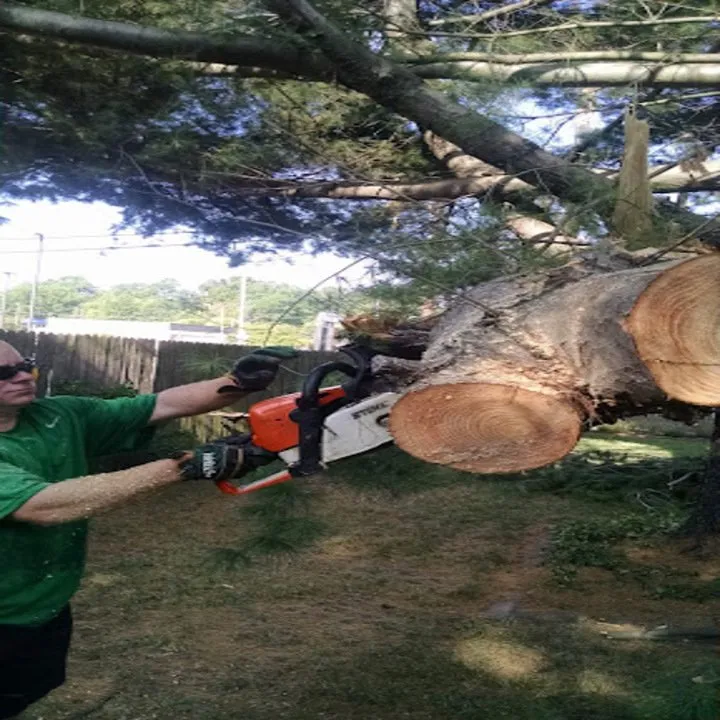 Custom landscape installation in Springfield, IL - Quality Lawn Care