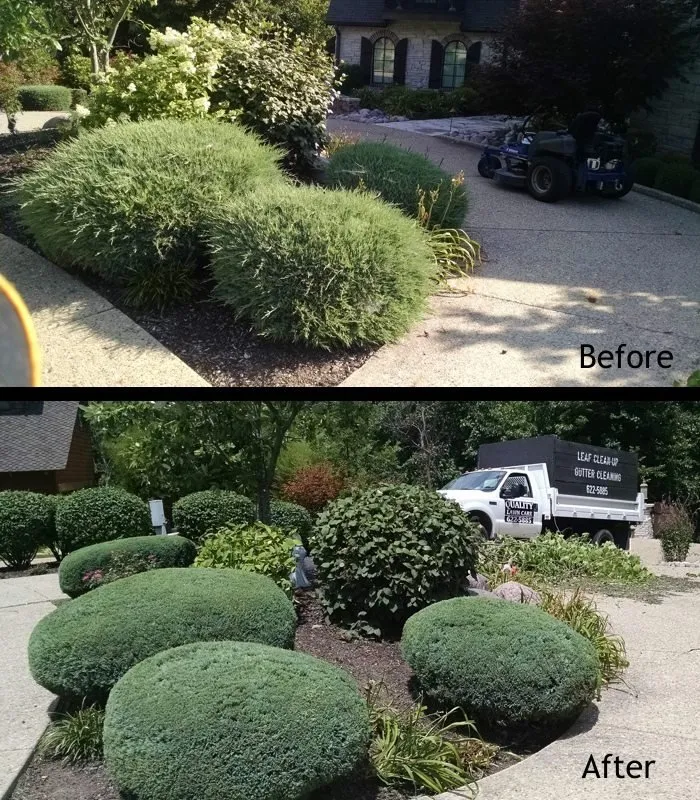 Expert lawn mowing service for beautiful yards in Springfield, IL by Quality Lawn Care