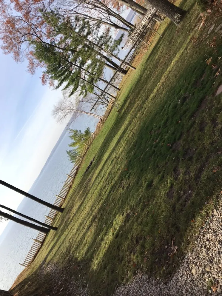 Expert lawn mowing service in Spruce, MI - Quality Lawn Care