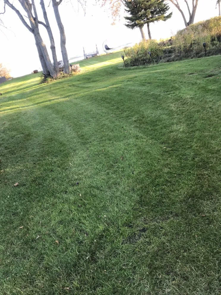 Local garden landscaping for homes in Spruce, MI by Quality Lawn Care