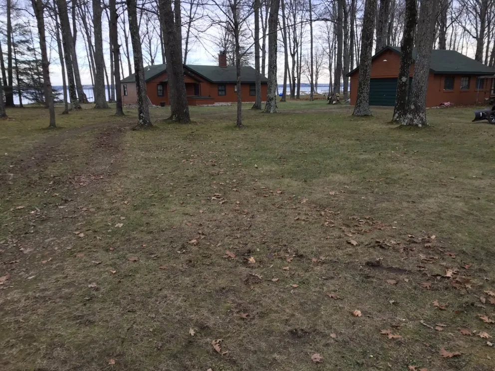 Custom lawn care service experts serving Spruce, MI - Quality Lawn Care