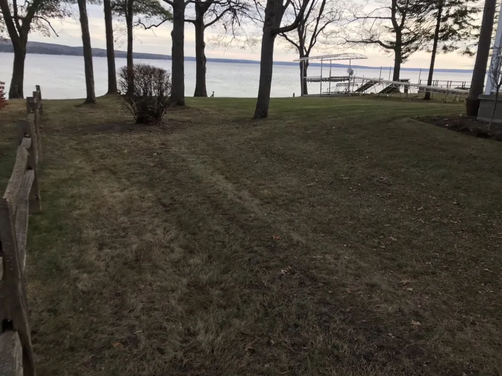 Expert yard maintenance in Spruce, MI by Quality Lawn Care