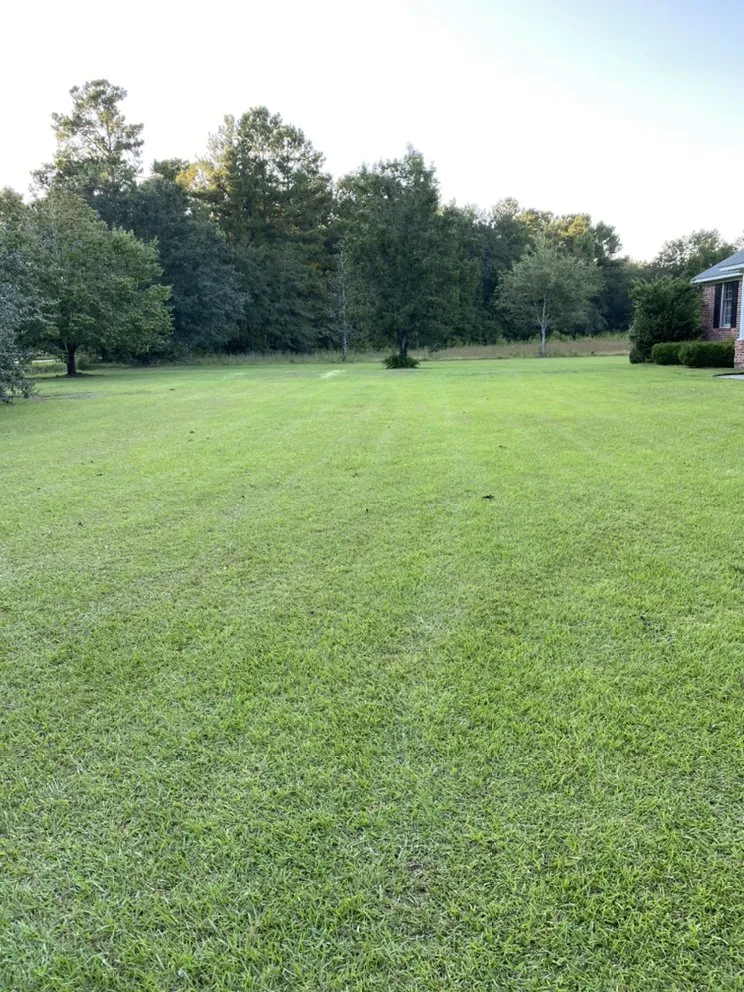 Professional outdoor landscaping for residential properties across Summerville, SC - Quality Lawn Care