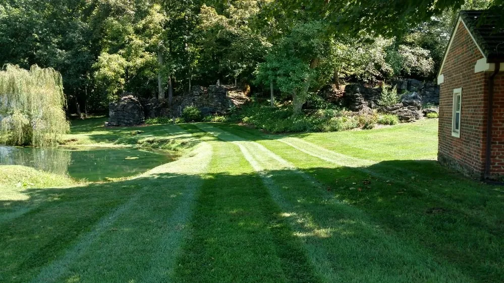 Professional yard cleanup service in Elizabethton, TN by Quality Lawn Service