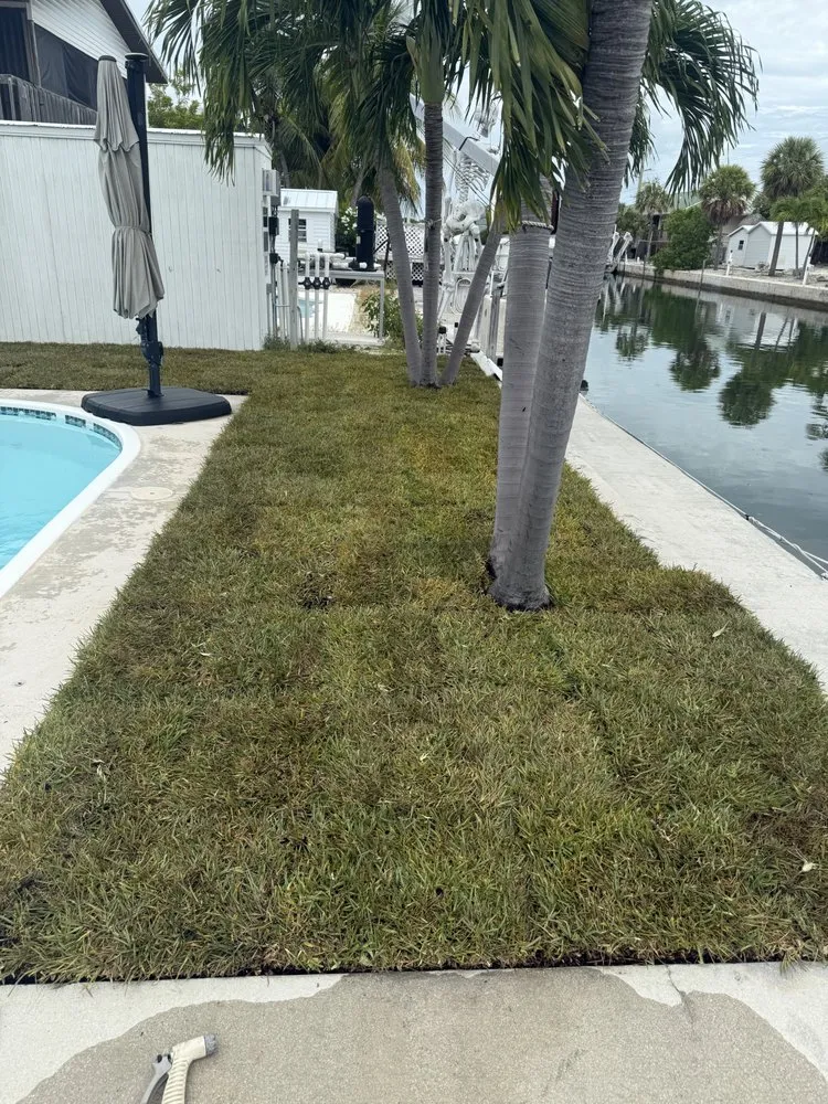 Top-rated yard maintenance in Key West, FL - Quality Lawn Service