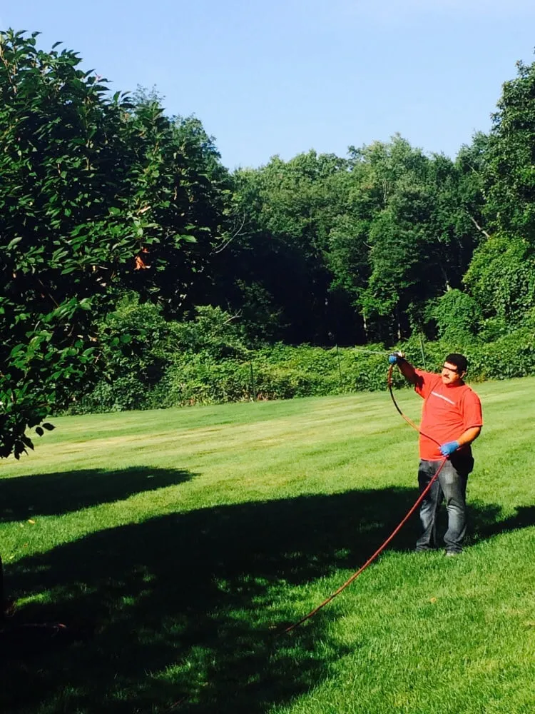 Affordable yard maintenance with custom design in Norwalk, CT by Quality Lawn Service