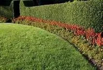 Trusted lawn mowing service near you across Deerfield Beach, FL - Quality Lawncare & Landscaping