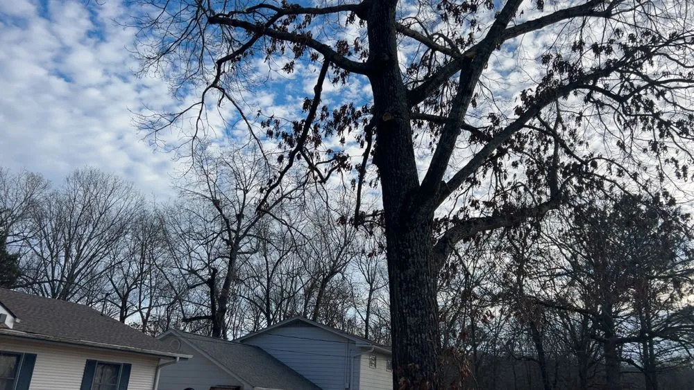 Reliable yard cleanup service experts serving Cherokee Village, AR - Quality Lawncare and Handyman Services