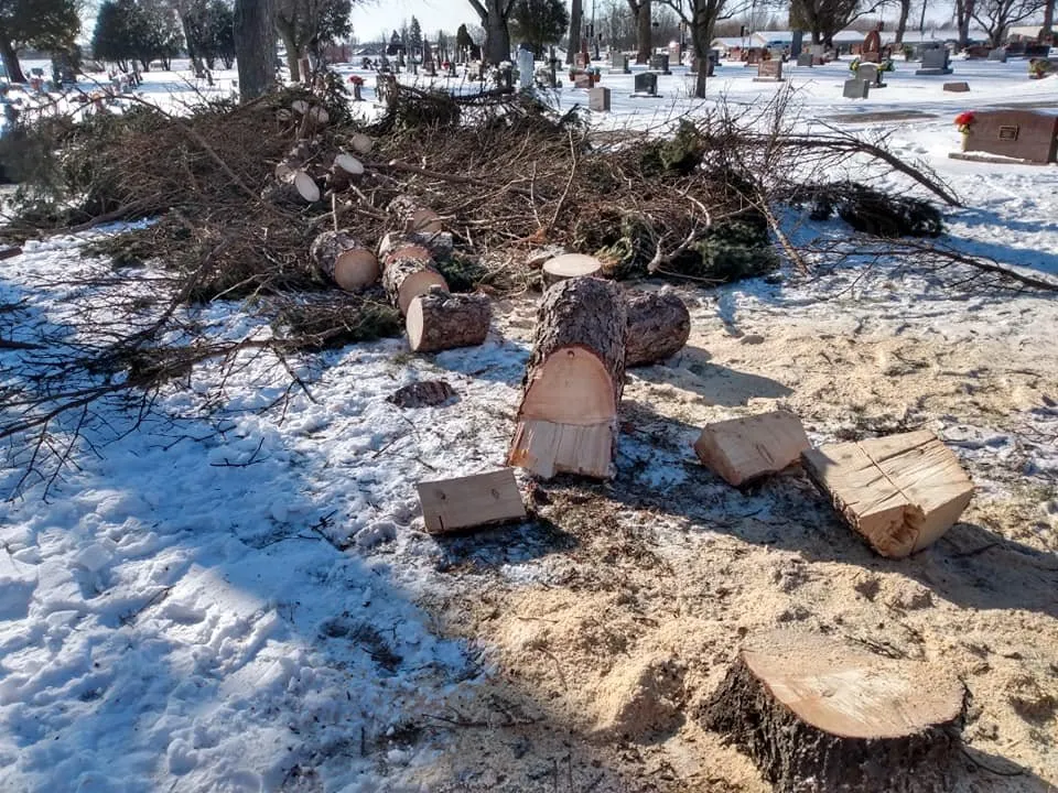 Top-rated garden landscaping for homes across Little Chute, WI - Quality Lawncare and Landscape