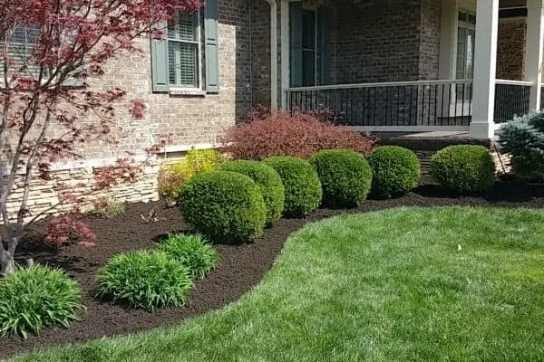 Reliable landscape design experts serving Little Chute, WI - Quality Lawncare and Landscape