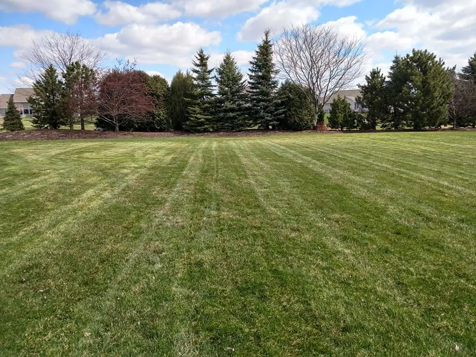 Top-rated landscaping services for year-round maintenance in Little Chute, WI by Quality Lawncare and Landscape