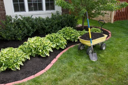 Top-rated yard maintenance experts serving Little Chute, WI - Quality Lawncare and Landscape