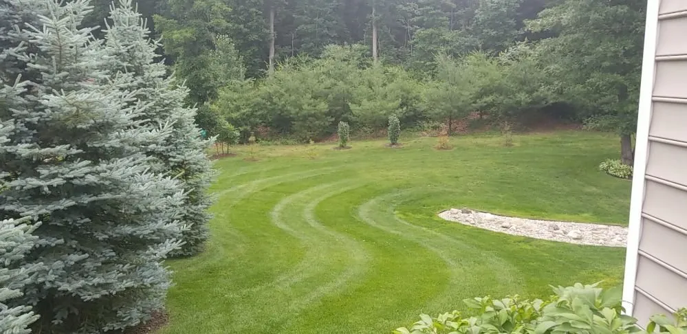 Top-rated outdoor landscaping in Zeeland, MI - Quality Lawncare Landscaping and Snowplowing