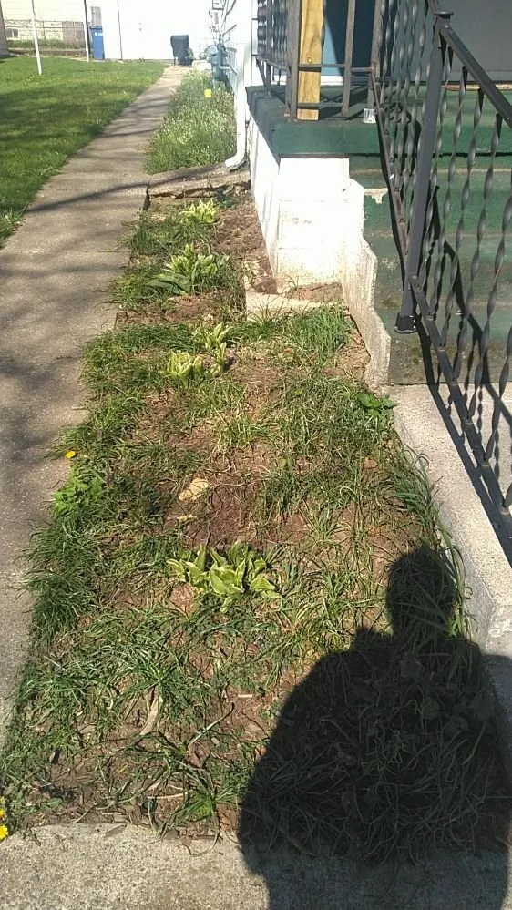 Reliable yard maintenance in Zeeland, MI - Quality Lawncare Landscaping and Snowplowing