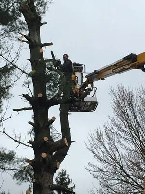 Quality Lawncare Landscaping and Snowplowing