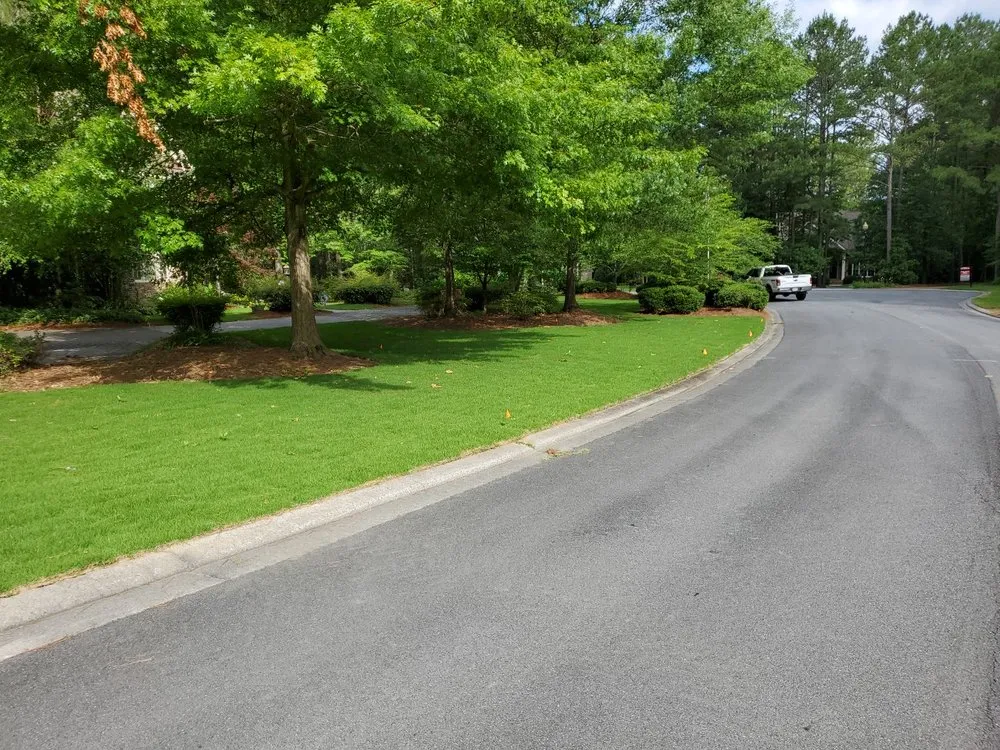 Professional yard cleanup service in Rome, GA by Quality Lawncare