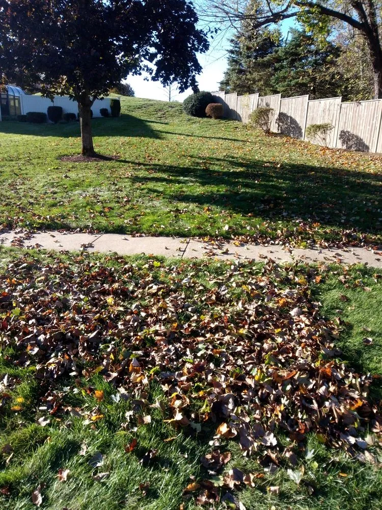 Top-rated lawn mowing service for residential properties across Berlin, CT - Quality Lines Lawn Care