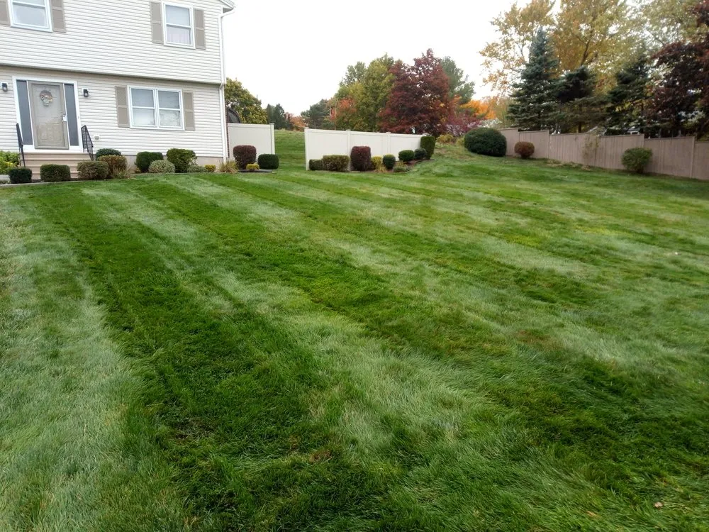 Affordable yard maintenance in Berlin, CT by Quality Lines Lawn Care