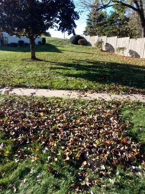 Quality Lines Lawn Care Logo