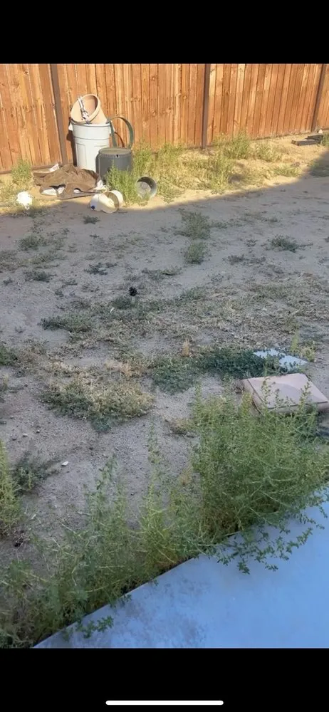 Top-rated landscape design for homes in Hesperia, CA by Quality Matters Landscaping