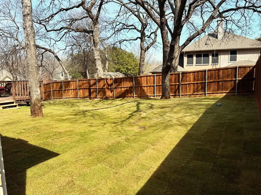 Expert lawn care service for homes across Frisco, TX - Quality Outdoor Solutions