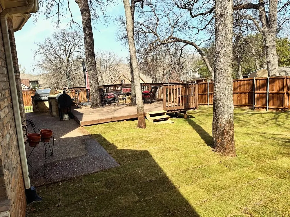 Trusted landscape design for year-round maintenance in Frisco, TX by Quality Outdoor Solutions