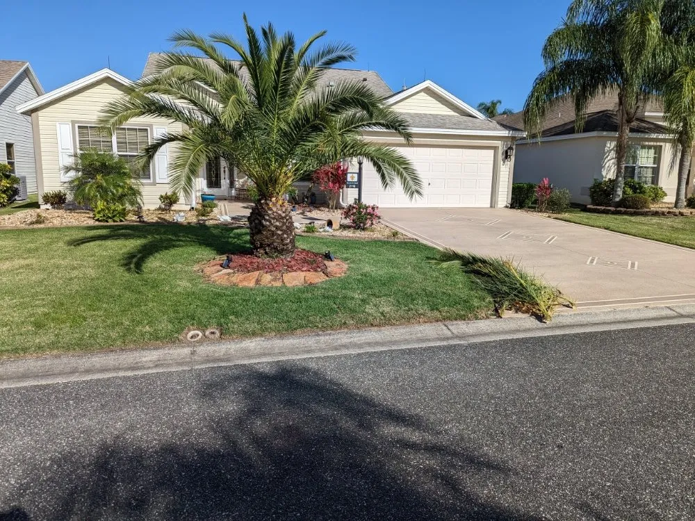 Expert lawn care service experts serving Wildwood, FL - Quality Patrol Lawn Services