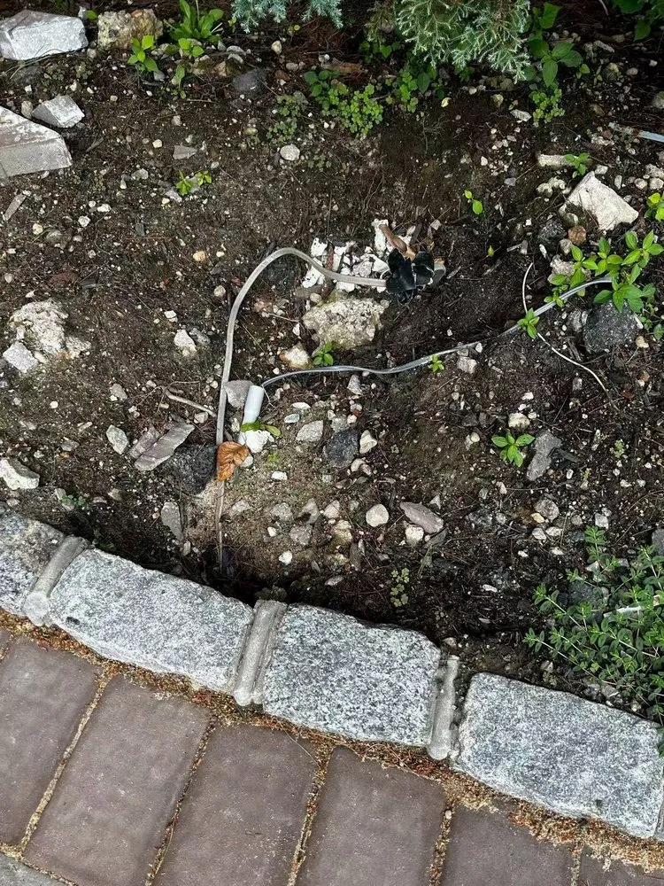 Custom yard maintenance in Copiague, NY - Quality Pavers Construction