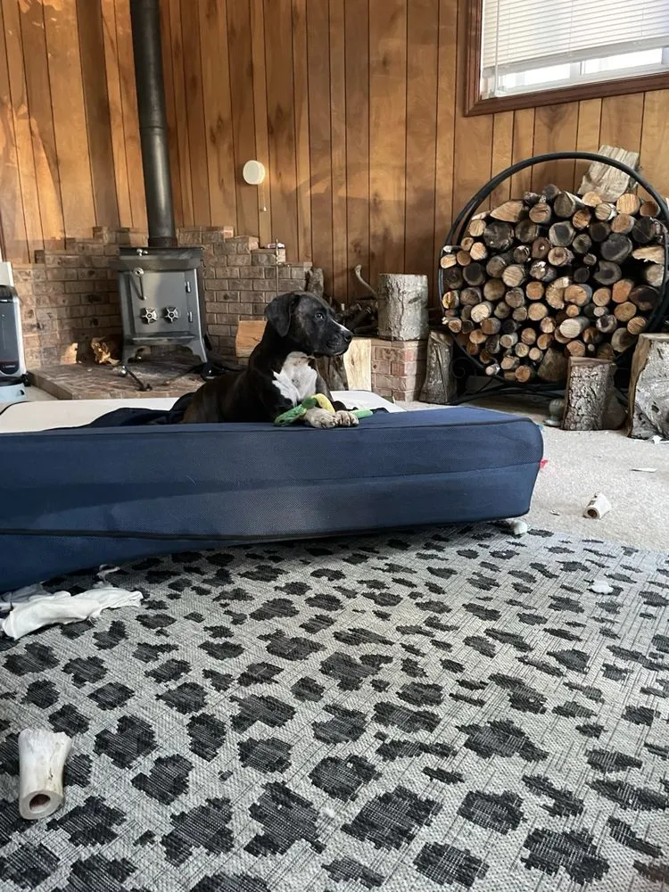 Affordable landscape installation for year-round maintenance across Kent, WA - Quality Performance Construction