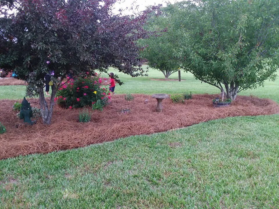 Top-rated outdoor landscaping near you across Mount Croghan, SC - Quality Pine Needles