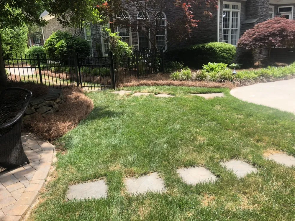 Local yard maintenance in Mount Croghan, SC - Quality Pine Needles