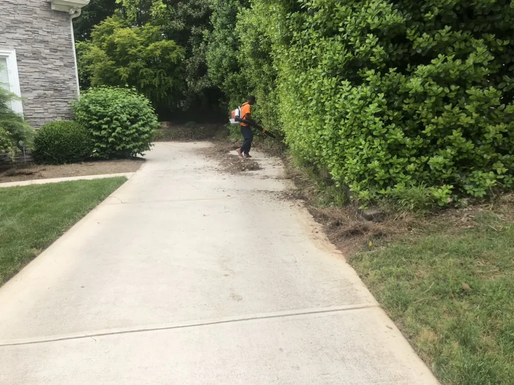 Local garden landscaping for year-round maintenance across Mount Croghan, SC - Quality Pine Needles