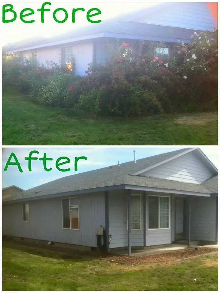 Expert outdoor landscaping in Pasco, WA - Quality Plus Lawn Care