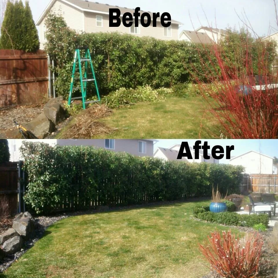 Local yard maintenance in Pasco, WA - Quality Plus Lawn Care