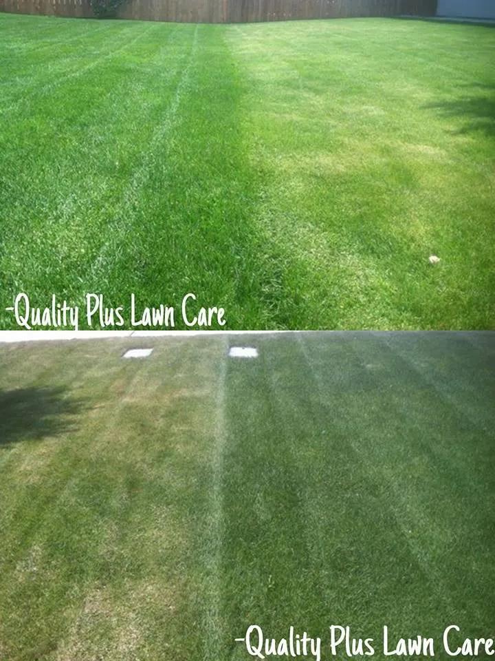 Top-rated garden landscaping experts serving Pasco, WA - Quality Plus Lawn Care