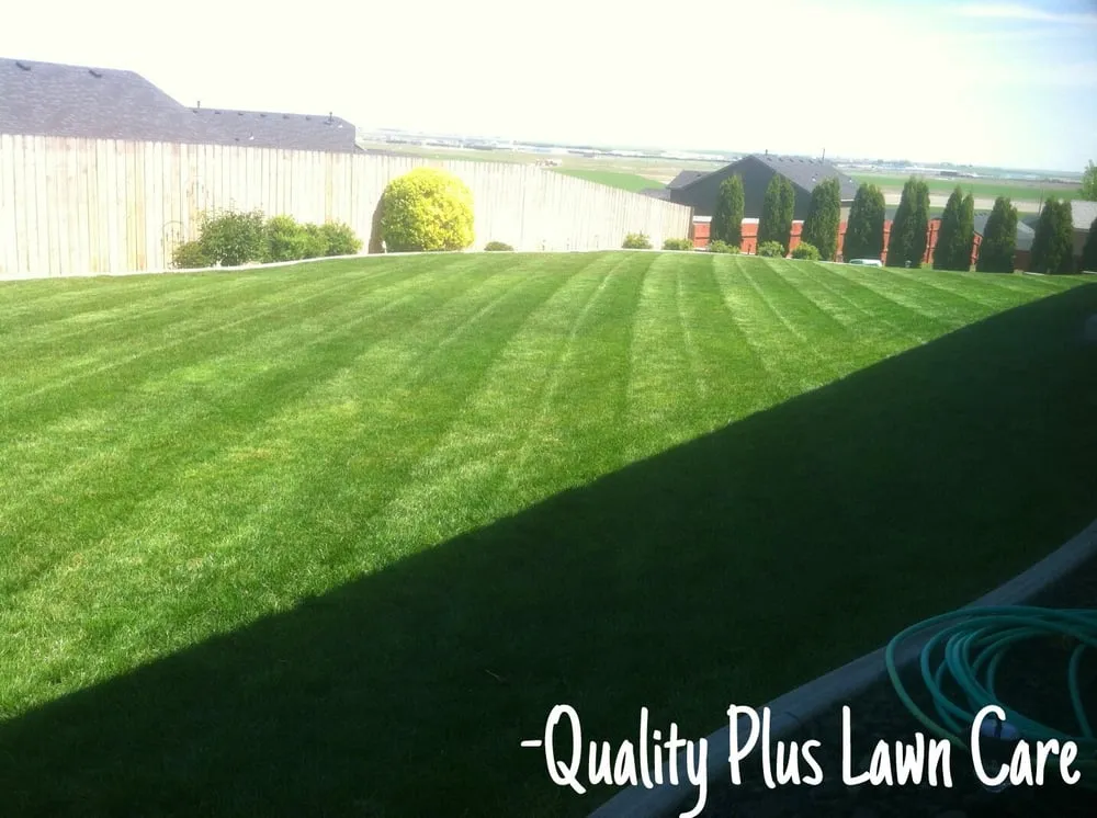Affordable yard cleanup service experts serving Pasco, WA - Quality Plus Lawn Care